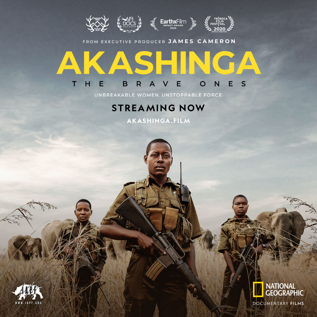 𝗛𝗮𝗽𝗽𝘆 𝗪𝗼𝗿𝗹𝗱 𝗘𝗹𝗲𝗽𝗵𝗮𝗻𝘁 𝗗𝗮𝘆!

It is with great excitement that we announce the National Geographic short film AKASHINGA: THE BRAVE ONES is NOW LIVE to stream.

𝐖𝐀𝐓𝐂𝐇 𝐓𝐇𝐄 𝐅𝐔𝐋𝐋 𝐅𝐈𝐋𝐌 here iapf.org/the-film