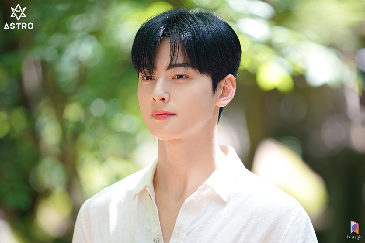 ประวัติ ชาอึนอู Cha Eun Woo หนุ่มหล่อเกาหลี