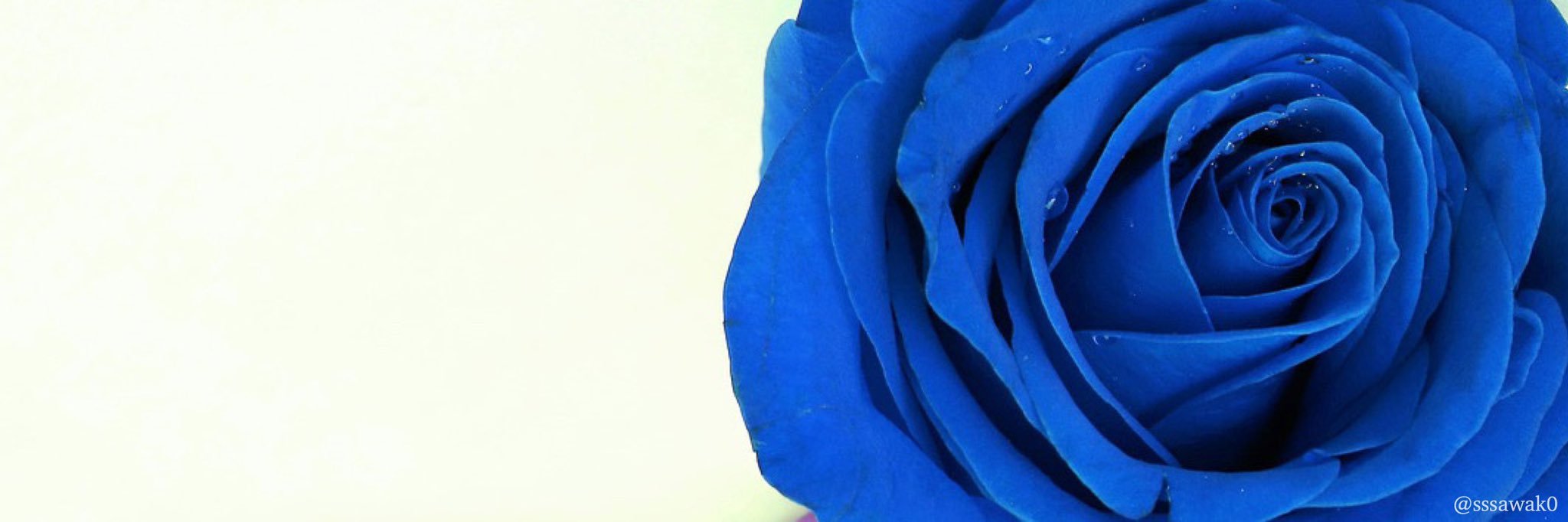 さわこ フリーヘッダー お題箱より 青い薔薇 花言葉は 夢かなう 不可能 奇跡 神の祝福 いつもリクエストありがとうございます イメージとの事でしたが 文字入りでしたら後ほど修正致します T Co Lhfj24tth9 Twitter