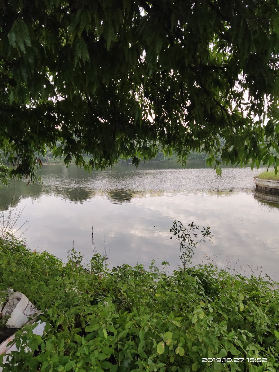 Vastly_average's tweet photo. #AvaadaPurifyingNature
@avaadaenergy beautiful lake https://t.co/EGfkyn0s03
