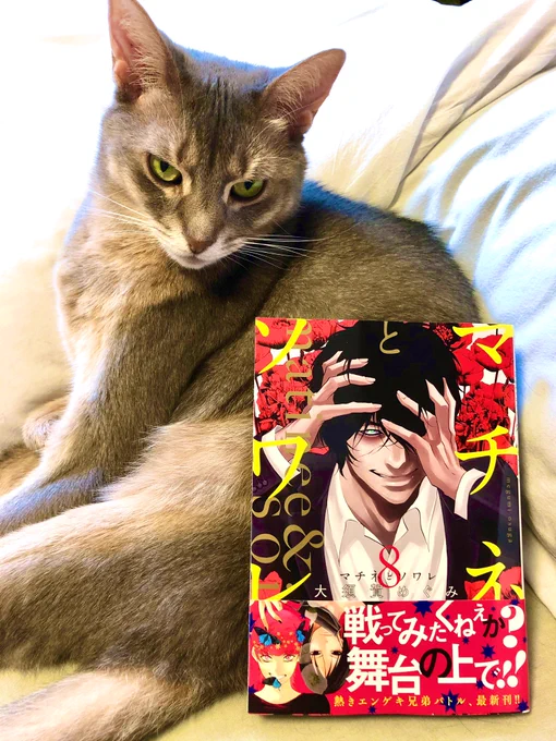 今日「マチネとソワレ」の8巻発売です。孤島の鬼編突入です。今サンデーうぇぶりで2巻まで無料で読めるみたいなので試し読みしたい方は見てみてね。期間は25日までみたいです。 