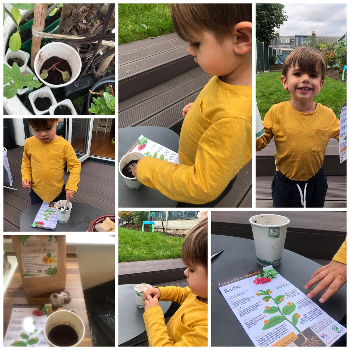 efdccommunity's tweet photo. Some photos from one of our grow pack owners!
We still have grow packs available - drop us a message to find out how to get yours!
#growpack #growyourown #radish #healthyeating https://t.co/LLlMBpXHWh