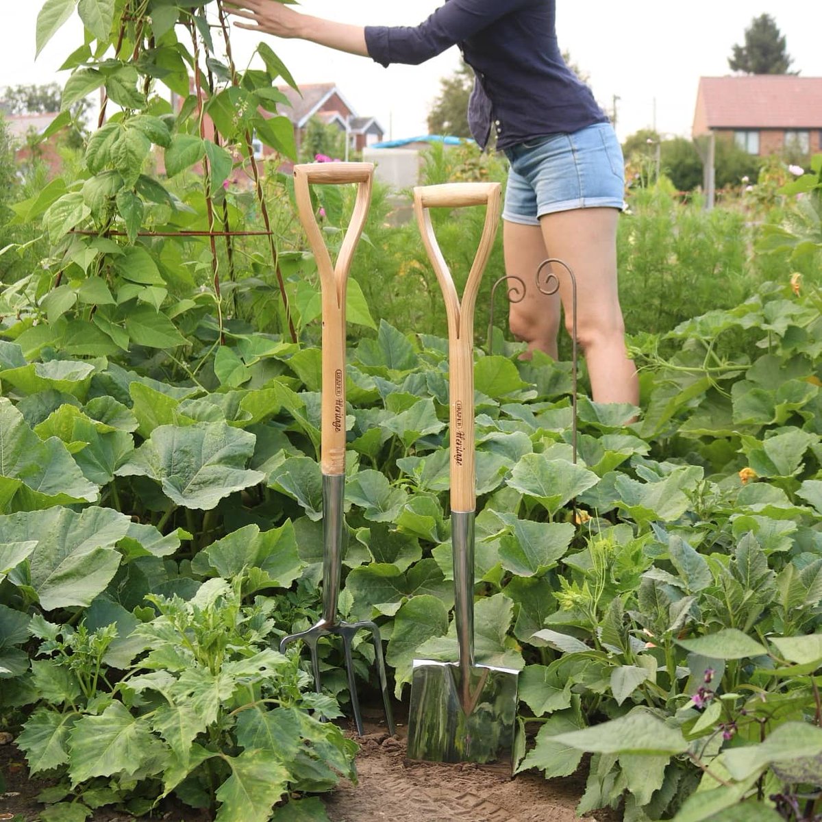 It's National Allotment Week and I'm so excited to team up with <a href="/drapertools/">Draper Tools</a> to giveaway this beautiful set of heritage garden tools. Head on over to Instagram to find out how to enter 💚 Good luck! 
instagram.com/p/CDyDG9fAFDB/… #allotment #giveaway #gardentools