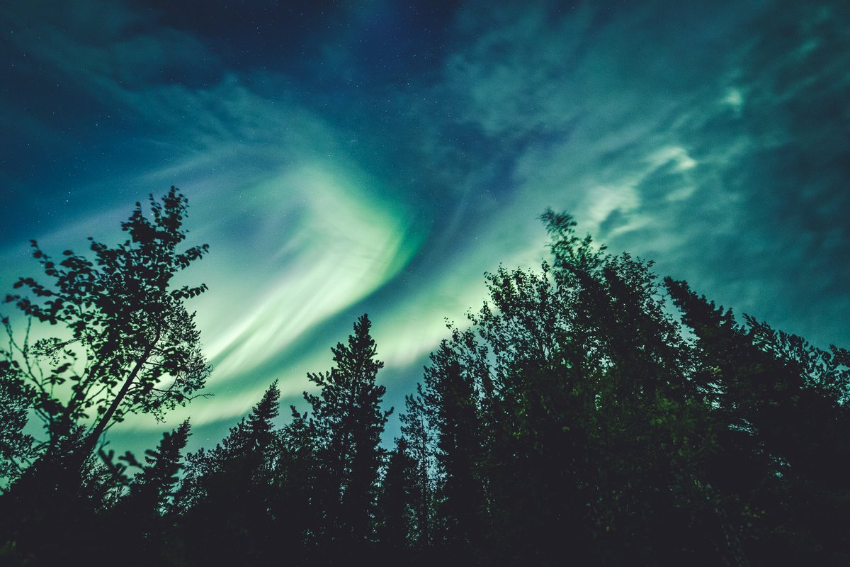 Finally, the nights are getting dark again! Soon, we'll be able to see #northernlights again in #Lapland #Finland. While waiting, watch my VLOG about the 1st aurora storm of the last season in #Rovaniemi: youtube.com/watch?v=nZd0pH…