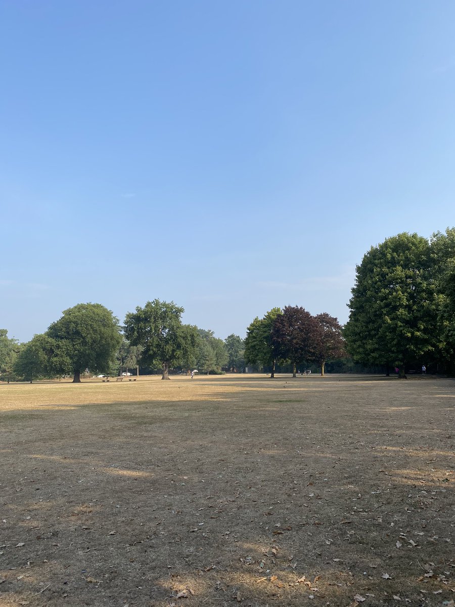 Jess_EL_Chick's tweet image. #toohottosleep is trending in the UK - absolutely! 🥵 

Although it was nice to wake up a bit earlier this morning to have a breakfast treat in the park 🌳