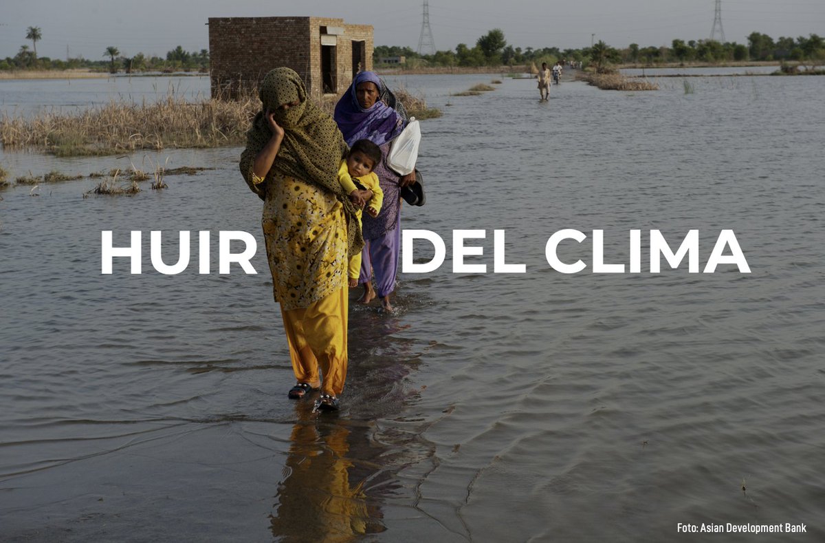 Migracionyclima's tweet photo. El documental "Huir con el clima" de @sallyjabiel aborda lo esencial para comprender las #MigracionesClimáticas 🎬 Con entrevistas a nuestros especialistas @beaifp y @SergiodeOtto, este audiovisual apunta a un periodismo más responsable➡️ https://t.co/aqJA2vYXn0 https://t.co/vZ0MrX9JFL