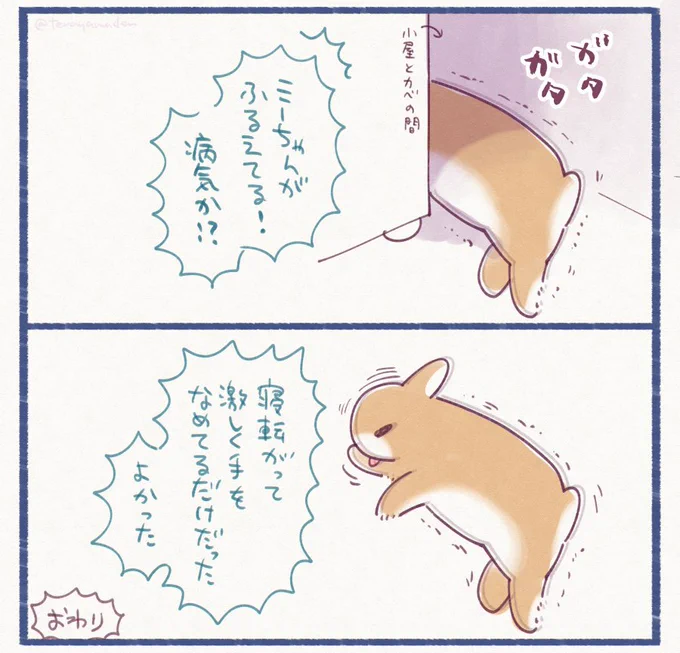 うさぎ日記です 