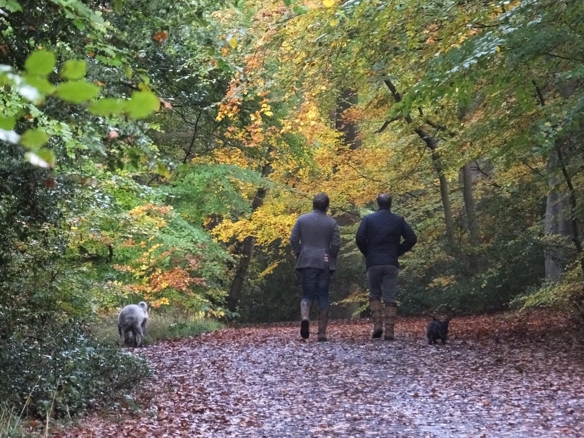Are you passionate about protecting our ancient woodlands? If so have your say on how we can protect them for you and others to enjoy crowd.in/pAuqS4