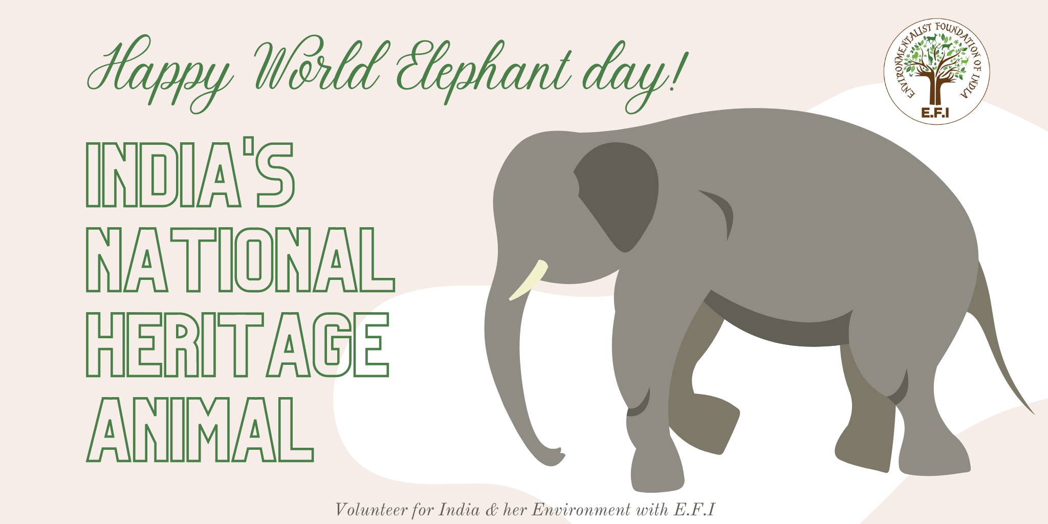 Environmentalist Foundation of India on Twitter: Environmentalist Foundation of India on Twitter: