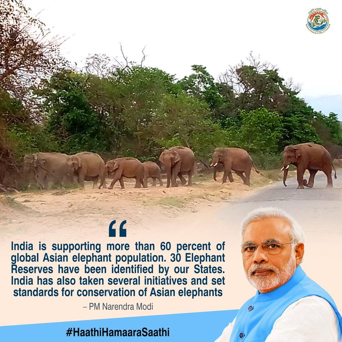 PIBAhmedabad's tweet photo. #India is supporting more than 60% of the global Asian elephant population.30 Elephant Reserves have been identified by our States. India has also taken several initiatives and set standards for conservation of Asian elephants” –PM @narendramodi at #CMSCOP13. #HaathiHamaaraSaathi https://t.co/EE92ewyiNX