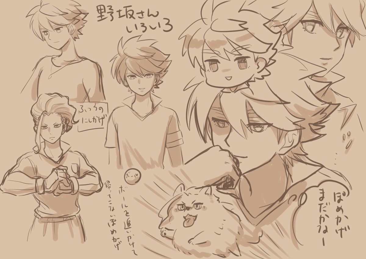 ※再掲※ お探しのぽめかげはこちらです?‍♀️ 