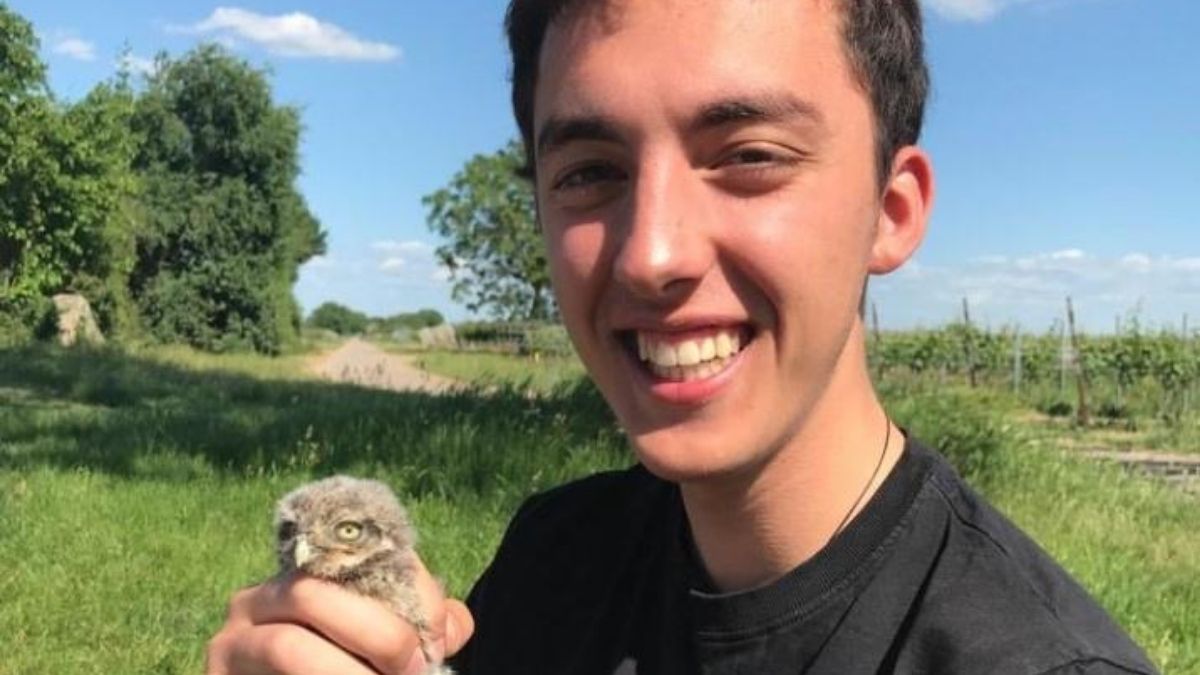 20yo  @HerrBackfisch is studying Wildlife, Ecology and Conservation Science. He's had the opportunity to travel and he completed his Field Guide Certificate for Southern African countries. He looks forward to starting work in conservation soon.  https://linkedin.com/in/tom-riffel-5b16671b3/