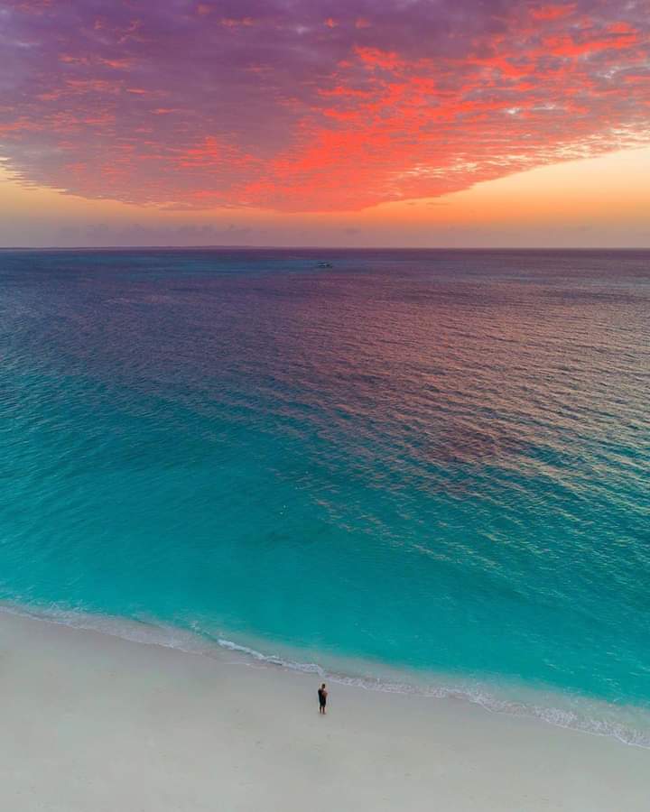 The Turks & Caicos has reopened and the sunsets are more beautiful than ever💙
Time for a destination vacation 💯
📸@waterproject
#TurksAndCaicosReopen #TurksAndCaicos #TCI #SisterIslands #BeautifulByNature #WeAreTurksAndCaicos