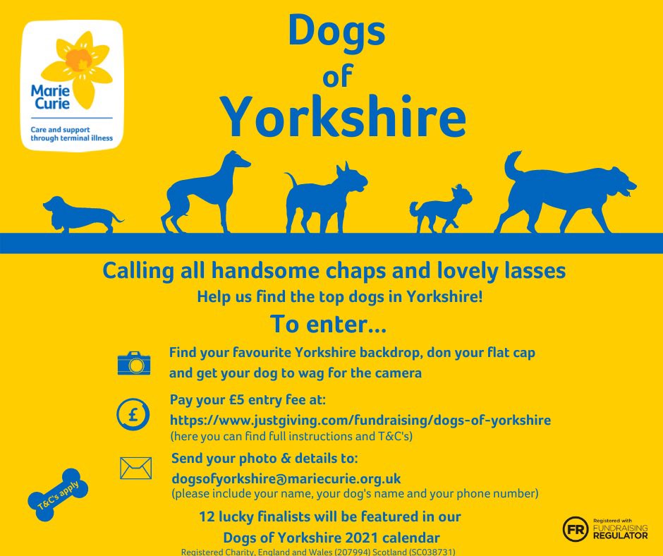 MarieCurieYorks's tweet photo. @PetFee We’d love to see the dogs enter our Dogs of Yorkshire calendar competition @mariecurieuk for #Yorkshire https://t.co/e7x4UxtzU3