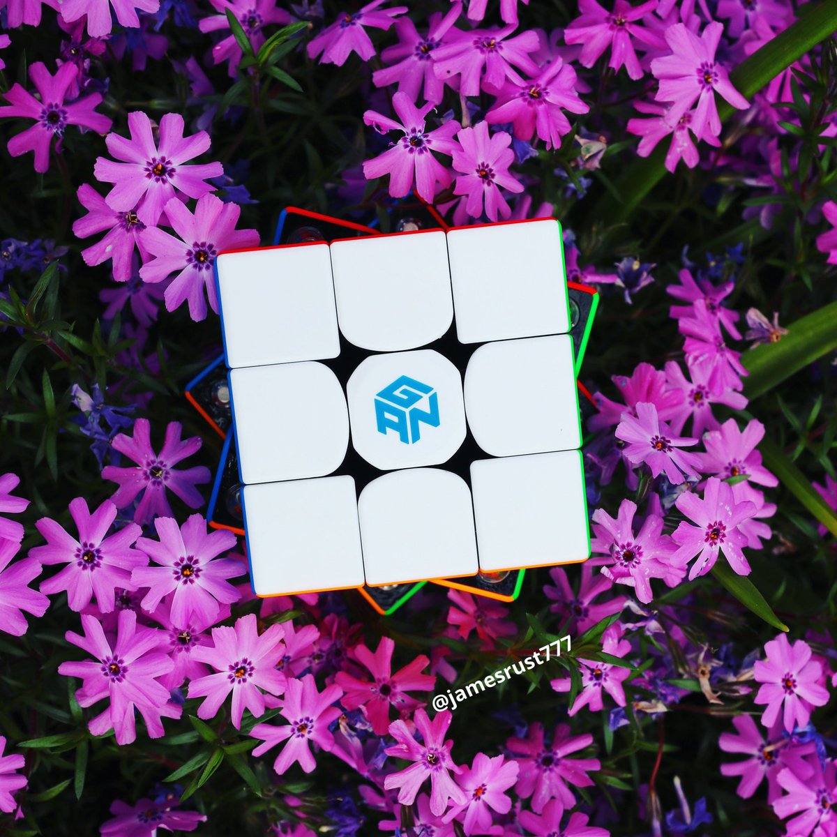 gancube's tweet photo. Solved, and all over again, like blossoms.
#GANCUBE #GAN356XS #GAN356i2 #GANPyraminx #jamesrust777 https://t.co/o9i01y6fww