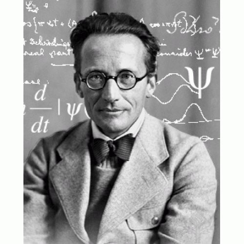 "What we observe as material bodies and forces are nothing but shapes and variations in the structure of space."     ~ Erwin Schrodinger