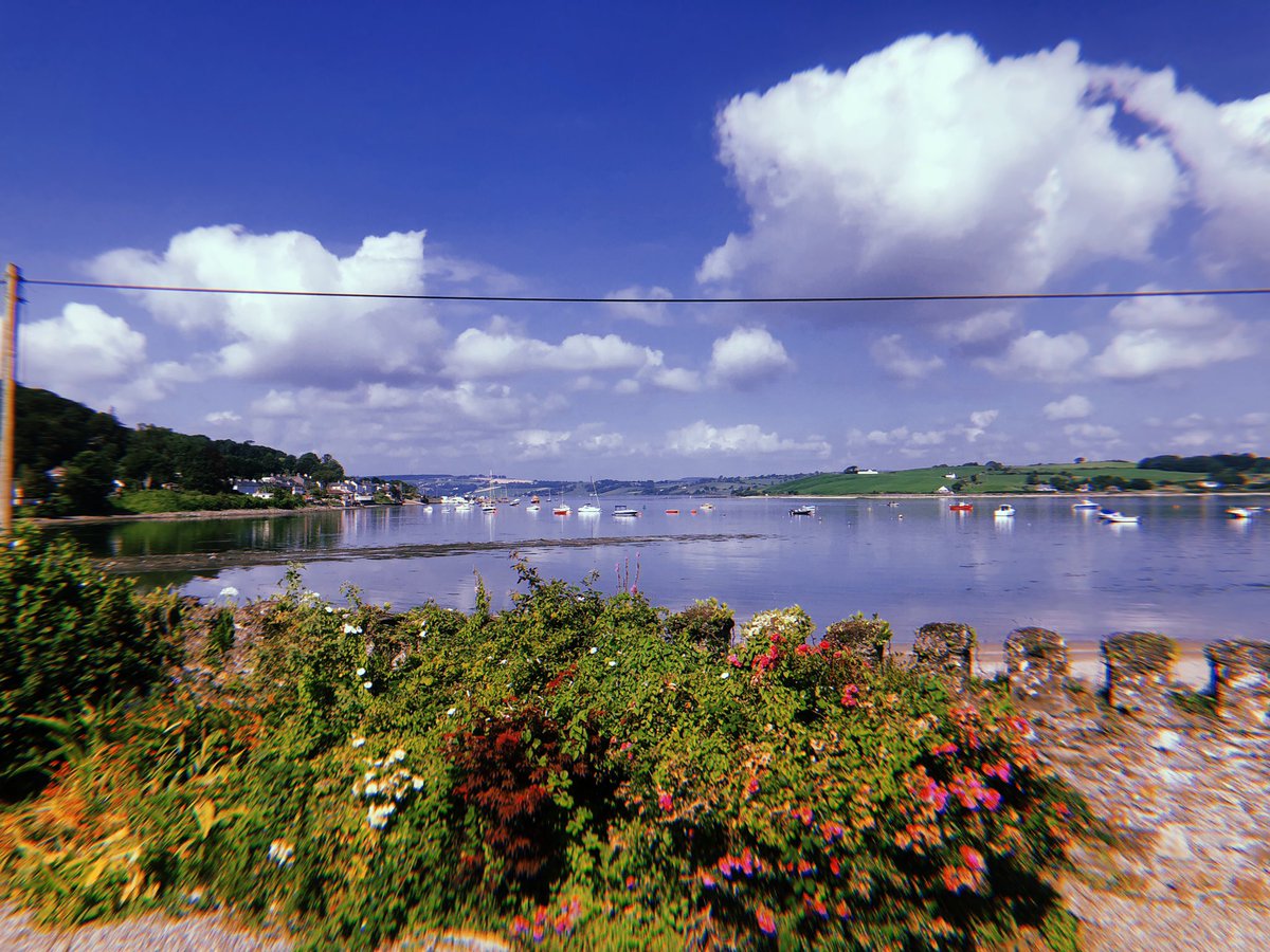 Stevie G tweet media