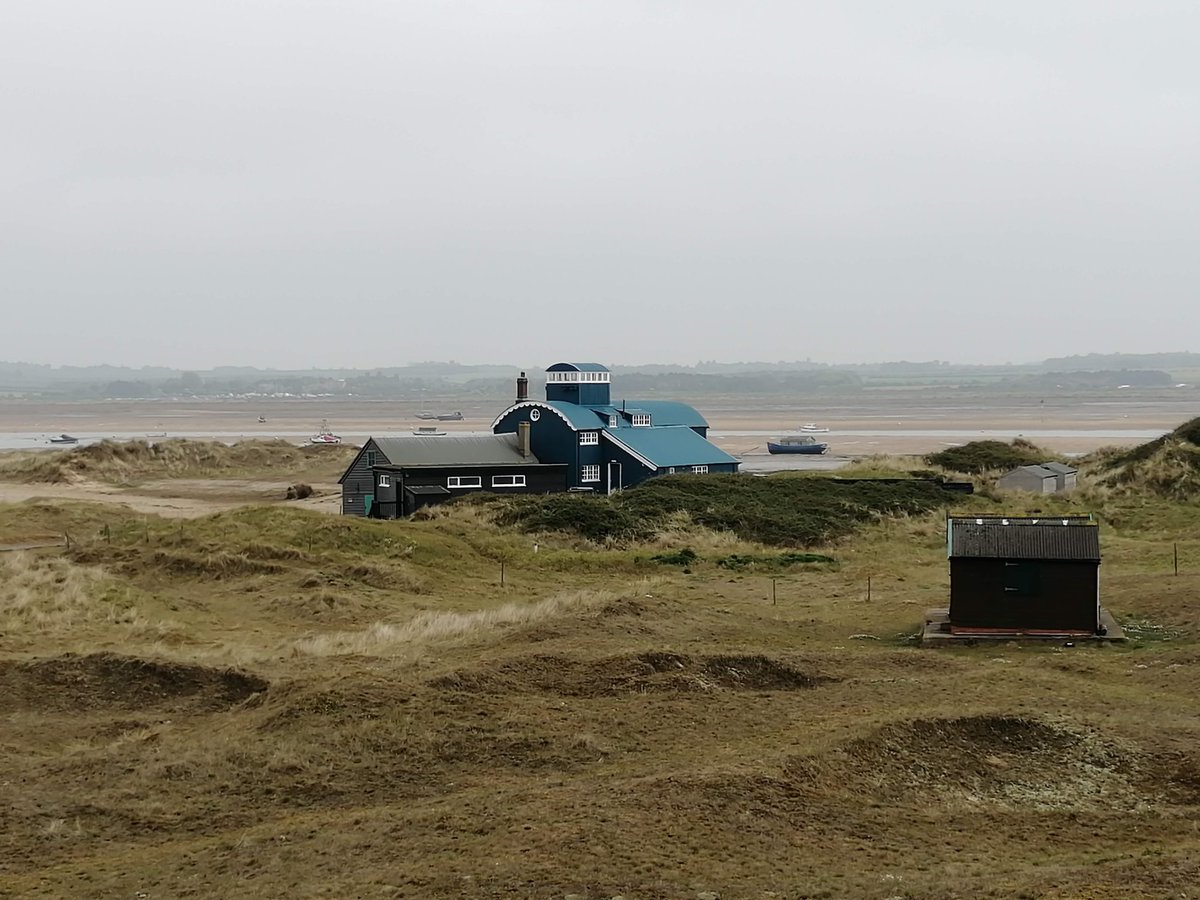 .  @BenBirdingNrfk is a 16yo birder from Norfolk. "Imagine sitting on a clifftop just before sunrise, watching Shearwater and Auk race over the white horses, Gulls being buffeted by the wind battling to maintain their momentum... That's why I love nature."