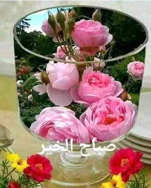 MisterRomanse's tweet photo. https://t.co/Ri396tSnGE