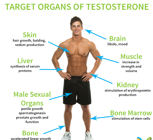 bigupshop2's tweet photo. #Testosterone #cypionate is one of the most common anabolic steroids in the strength sports industry. It is especially popular in the United States. This is strange since there is an ester, enanthate... #anabolic #steroids https://t.co/eL1S8r6YXk https://t.co/VVXO6LAEhn