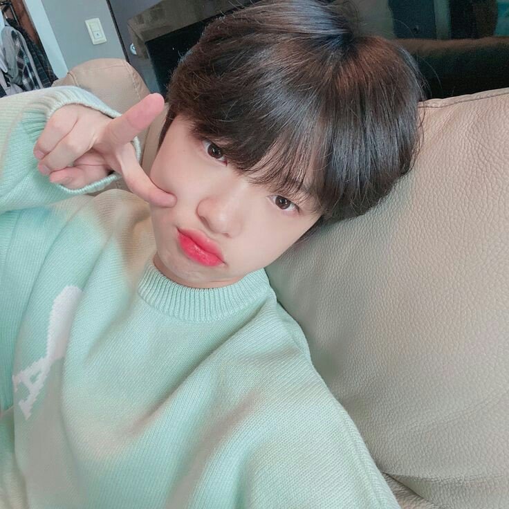 Piyo🐣 tweet media