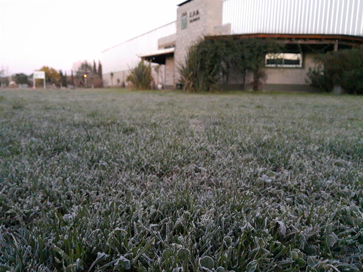 CFRSaladillo's tweet photo. 4,1*C !! https://t.co/SiBoTEd91K