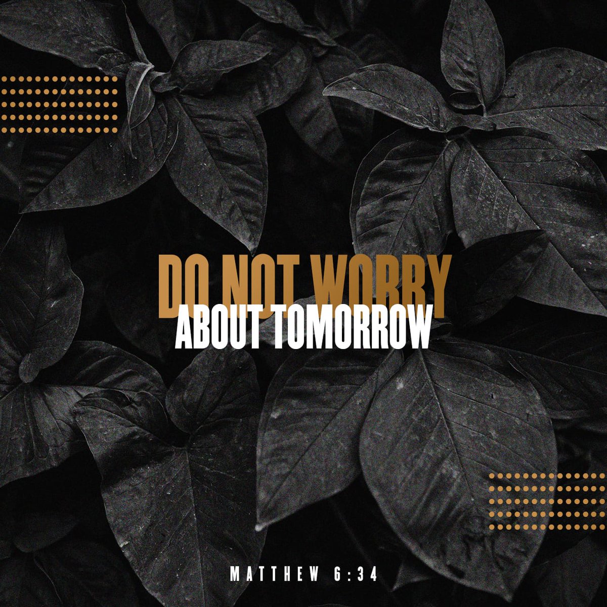 Daily Bible Verse tweet media