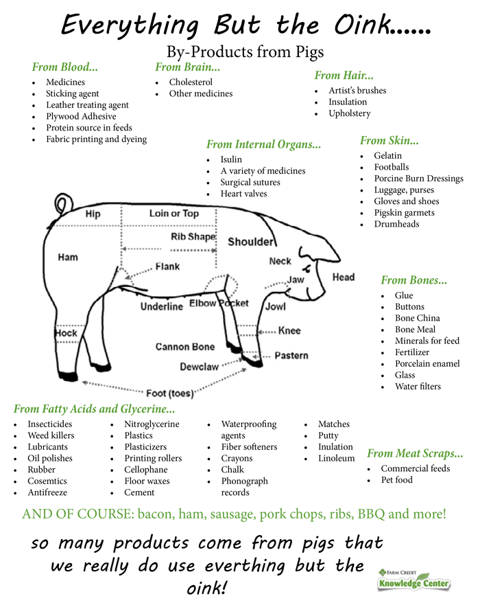 14/15. We should also remember that pigs are *so* much more than meat! Medicine, instruments, fertilisers, paints, oils, plastics all come from the humble pig (on top of many great meat products)!