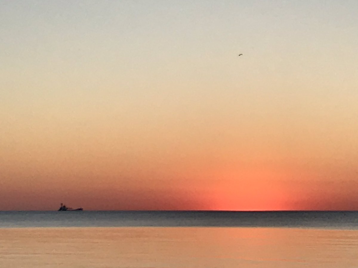 Sunrise 590. Freighter, by request.