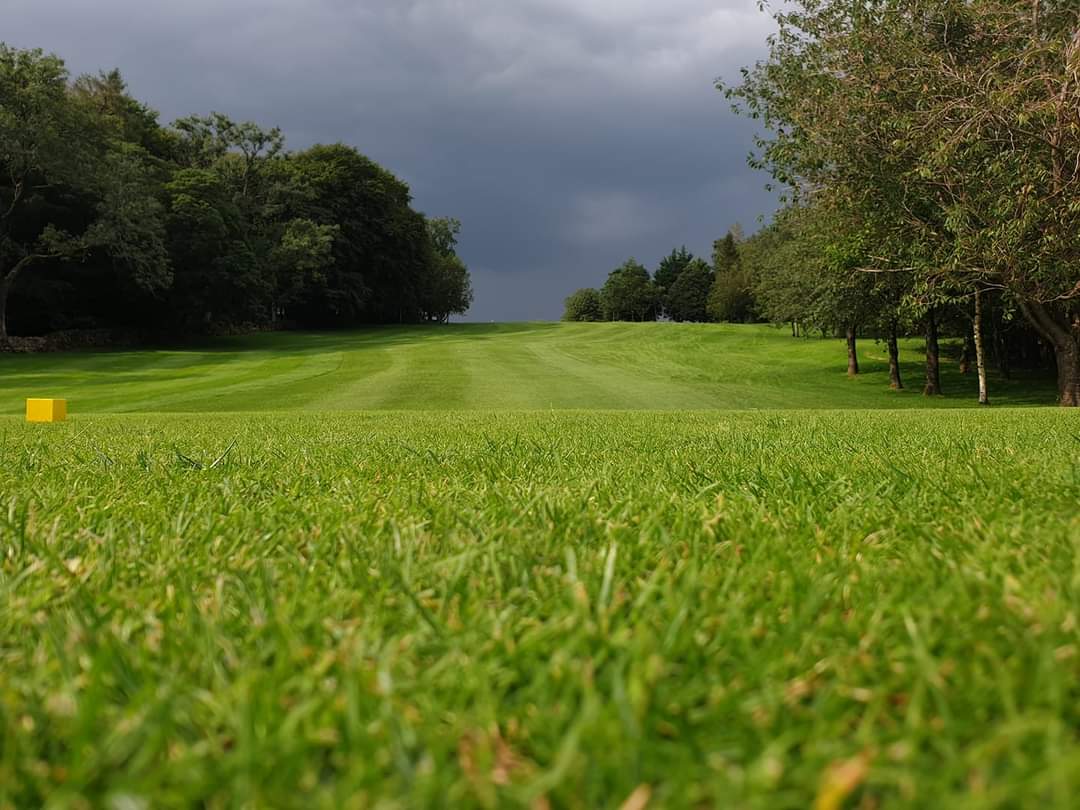 Looks like a storm's a coming 🌩