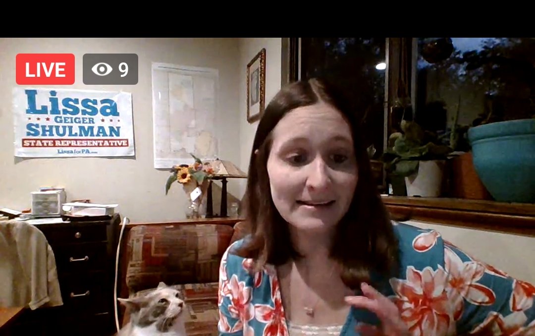 Did you miss last week's international cat day phone bank? The cool cats and kittens of our campaign are willing to fur-give you, but be sure to sign up to help this week. facebook.com/events/3339345…