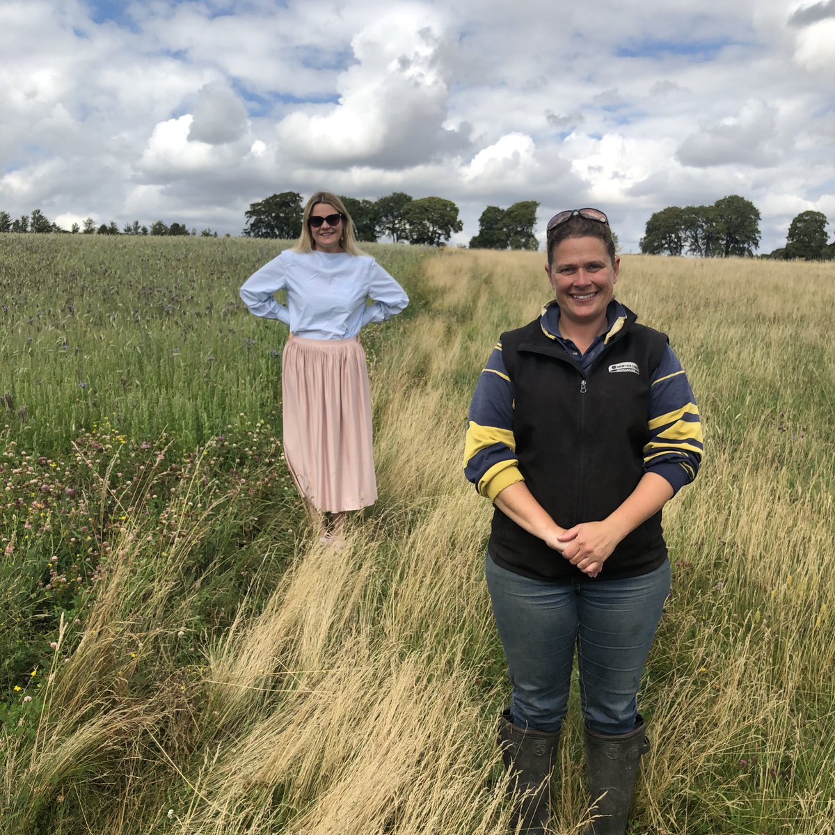 Laura Farris tweet media