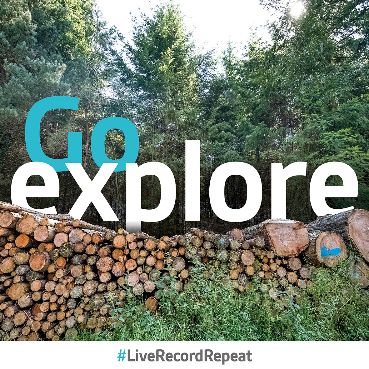 You heard the picture! 👉