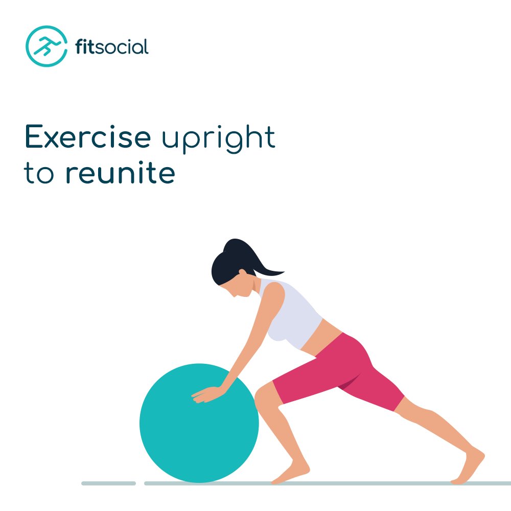 fitsocial_'s tweet photo. A well-aligned body posture helps in muscle relaxation and reduces pain.
Do you wish to acquire the right position?
#Pilates is a form of exercise that strengthens your body core, improves flexibility, and assists in posture correction- https://t.co/GifCDfC7Wk
#pilatesposture https://t.co/s36jY0Vhjl