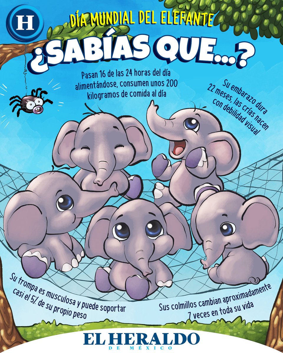 Hoy se celebra el #DíaDelElefante, un animalito que se ha ganado nuestro corazón por su nobleza ¡Cuidemos y protejamos a estos maravillosos seres! 🐘  💙