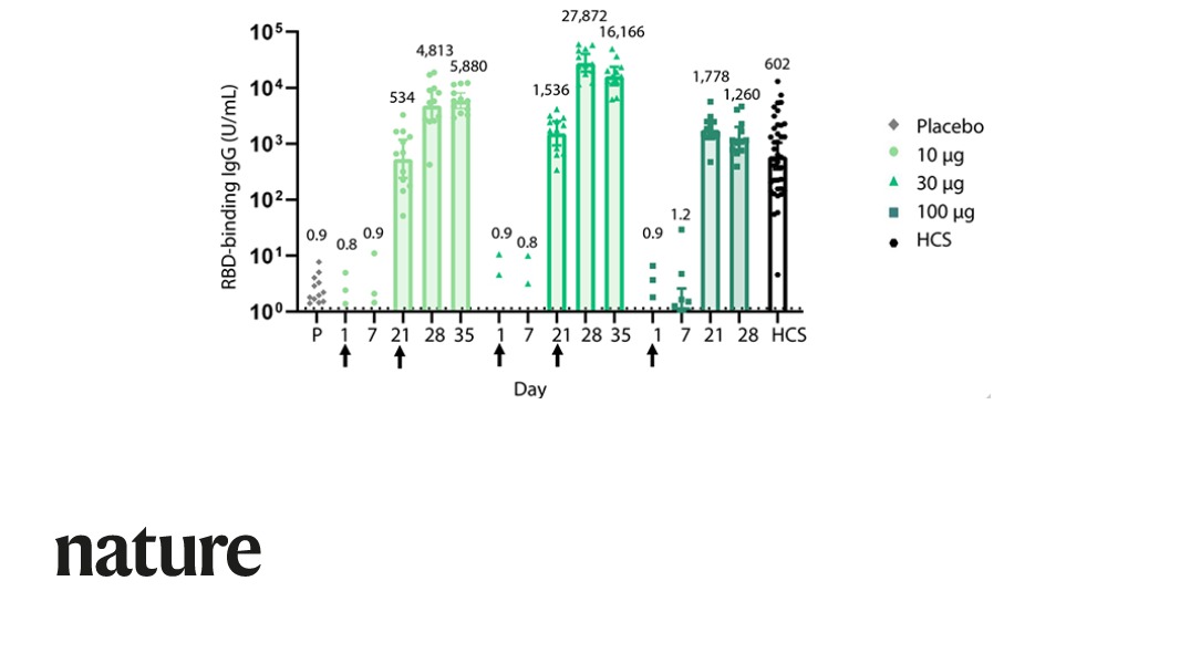 NaturePortfolio's tweet image. An RNA vaccine candidate for SARS-CoV-2, BNT162b1, is shown to induce a robust immune response in healthy adults aged 18–55 years in an interim report of a phase 1/2 clinical trial published in Nature. go.nature.com/2F8lQ2v