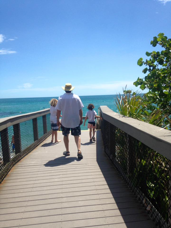 ambrose_holly's tweet photo. @VisitSarasota I loved visiting there with my family! We found some small teeth. #Caspersen #MySarasota #sharkweek #LoveFL https://t.co/I5FMeKt1cB