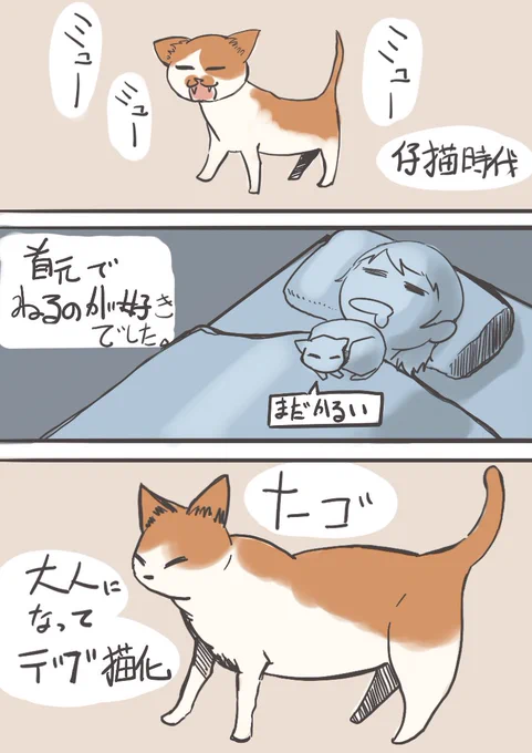 #イラスト好きと繋がりたい #絵描きさんとつながりたい #夏の創作クラスタフォロー祭り #猫のいる生活 #猫の昔話 #漫画 
悪夢の原因は大体これ。 