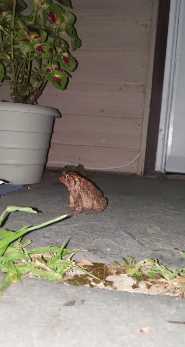 emilyerts's tweet photo. @danisnobunk He looks like my doorman! Must be brothers! https://t.co/JZB61rIAnM