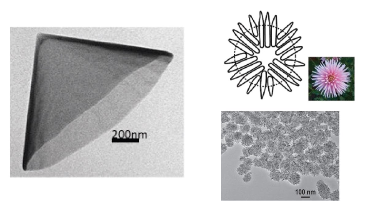 A graphene sheet in a conical shape will be a nanocone but similar structures also appear in clusters which may look like and is known as dhalia