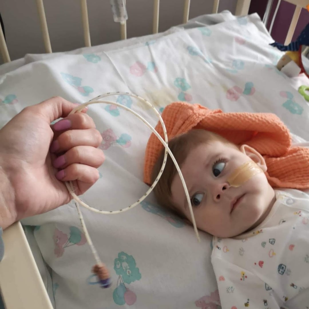 MajellaSpang's tweet photo. Oh no Mom I didn't pull that out 😂#dilatedcardiomyopathy #gonetoosoon #heartbaby #heartbroken #amazingalice @janbartspang https://t.co/GU9UvXOHbv