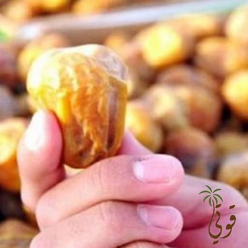 datesgoti's tweet image. 