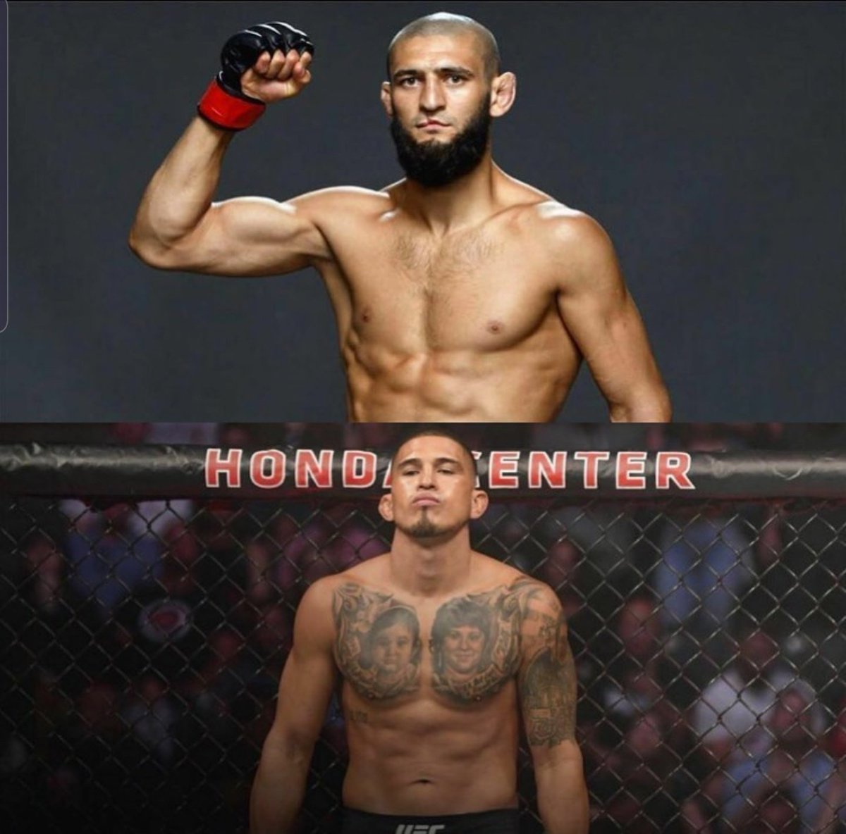 عدة مصادر تشير لعمل قتال يجمع حمزة تشيمايف ضد أنثوني بيتيس.