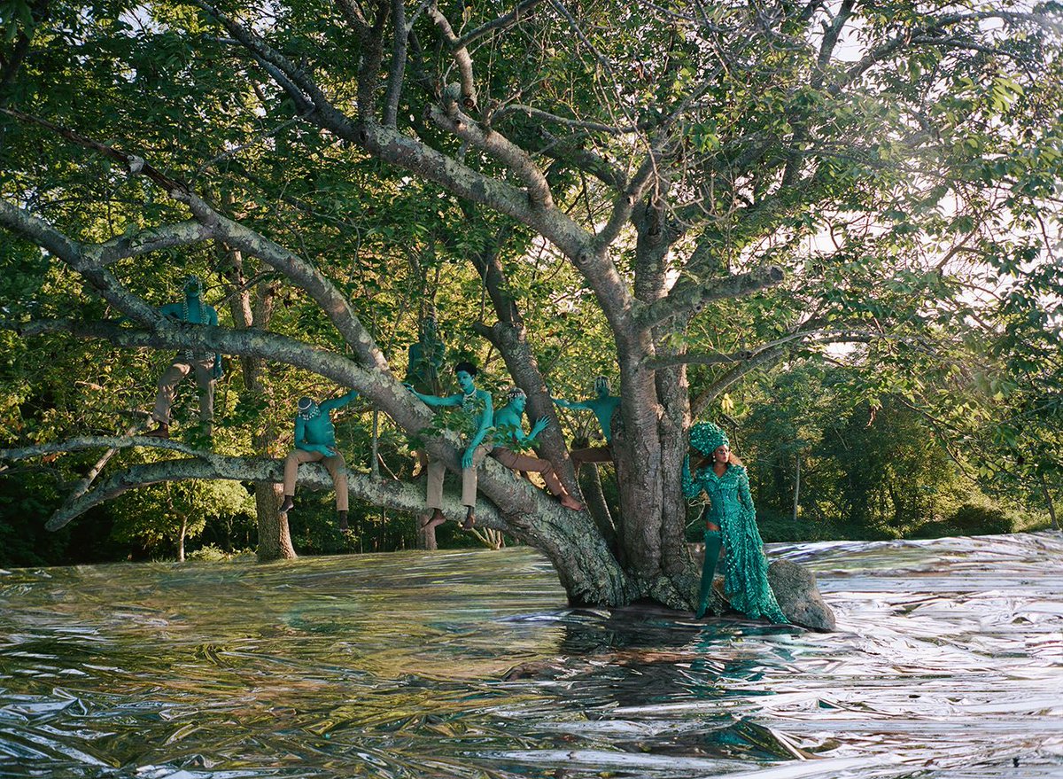 On 7/31/20, a new visual album from Beyoncé, “Black is King” premiered on Disney+, utilizing woodlands, waterways and many of the ancient trees of our historic property. We believe she chose our site understanding the cultures who lived and worked together at Sylvester Manor.