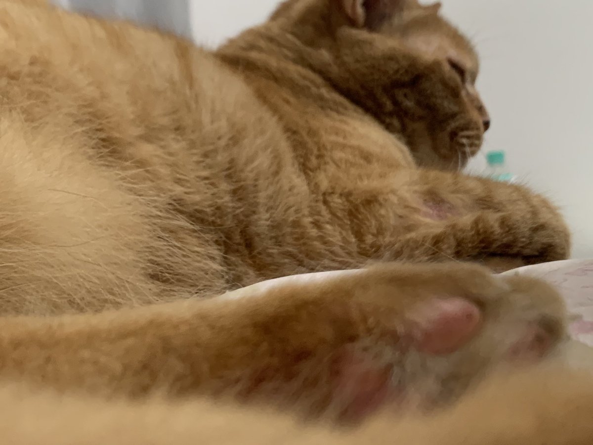 インスタみたいにハッシュタグつけまくる