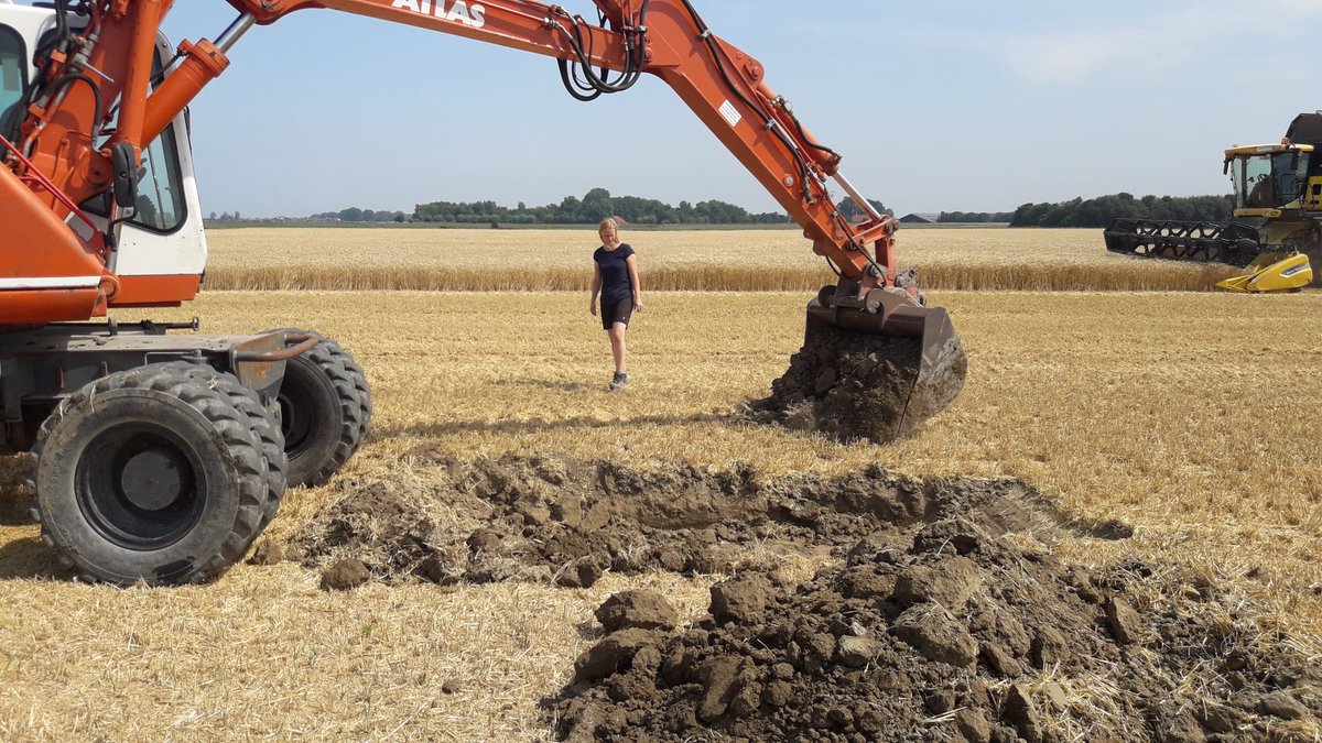 Michael Schippers tweet media