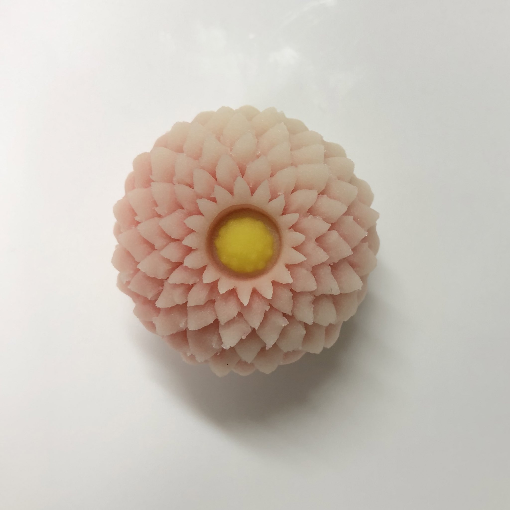 菓子処手毬 和 なごみ 8月の和菓子 はさみ菊 ピンク 和菓子 上生菓子 はさみ菊 練り切り 和菓子好きな人と繋がりたい スイーツ好きな人と繋がりたい 菓子処手毬 T Co Usicdqozjs Twitter