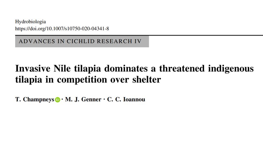 Very excited to share the first paper from my PhD which is out today in Hydrobiologia!! 🐟

 Massive thank you to my supervisors and coauthors @Martin_Genner and <a href="/C_C_Ioannou/">Christos Ioannou</a>

doi.org/10.1007/s10750…
<a href="/BristolBioSci/">University of Bristol Biological Sciences</a> <a href="/NERCscience/">Natural Environment Research Council</a> <a href="/GW4FreshCDT/">GW4 Fresh CDT</a> 
#invasivespecies #openaccess #fishsci