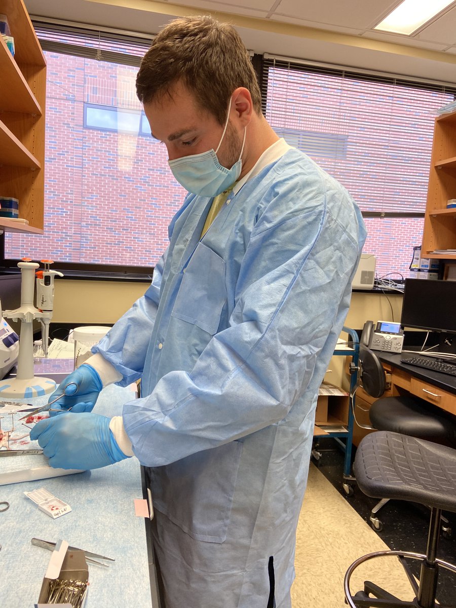 #teamspotlight Meet Greg! He is a researcher 2 in the lab. He graduated from UAB and is hoping to go to medical school next year. His favorite part of the lab is cell culture and least favorite is when his Westerns dont work! #hardimanlab