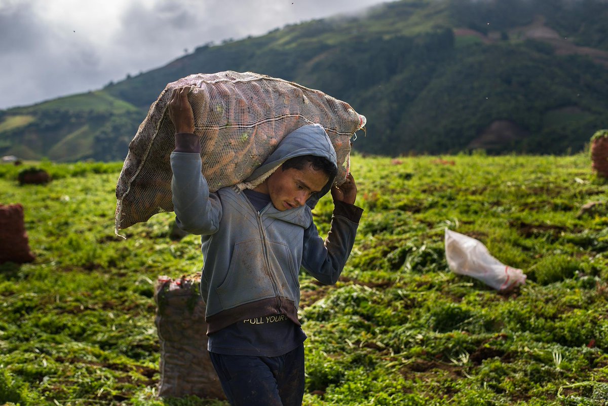 horacio_rv's tweet photo. Due to dwindling opportunities in rural areas, #youth outmigration is a constant in the #Andes
The @IniciativAndina aims to work with 1.5K profitable businesses run by young people that highlight #agrobiodiversity & #bioeconomy
We need you
#ConnectWithTheAndes on the #YouthDay https://t.co/d4xv6GxXIT